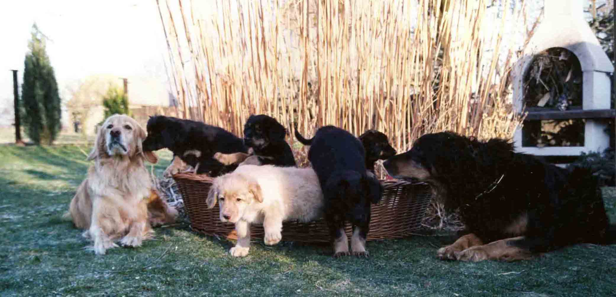 Familienfoto