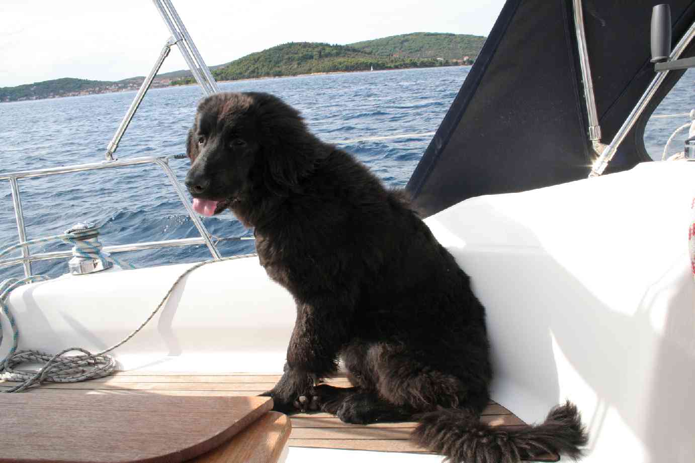 Captain