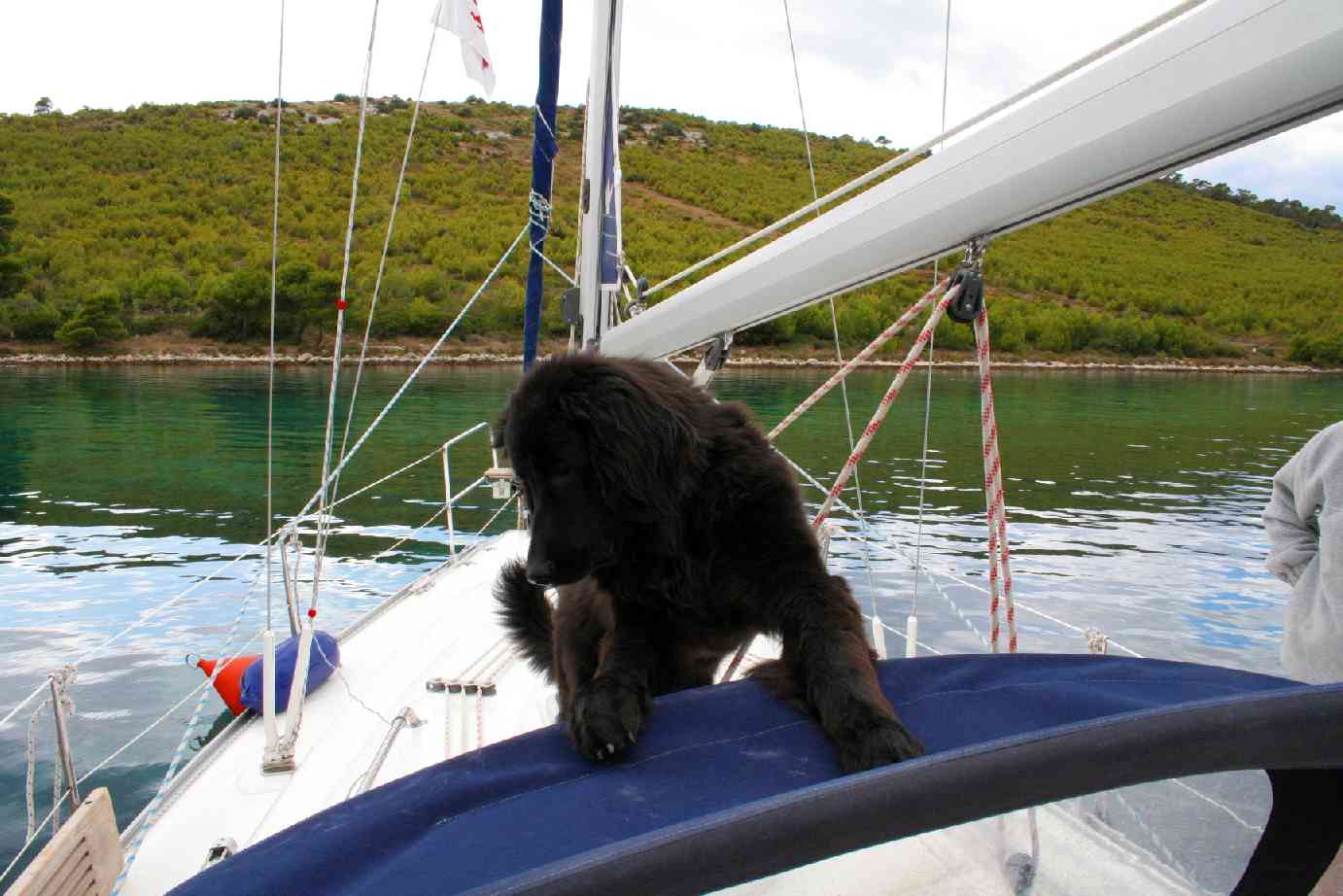 Captain