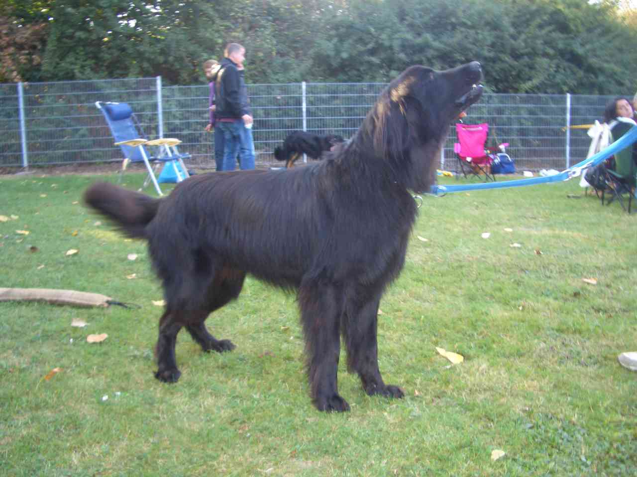 Caspar