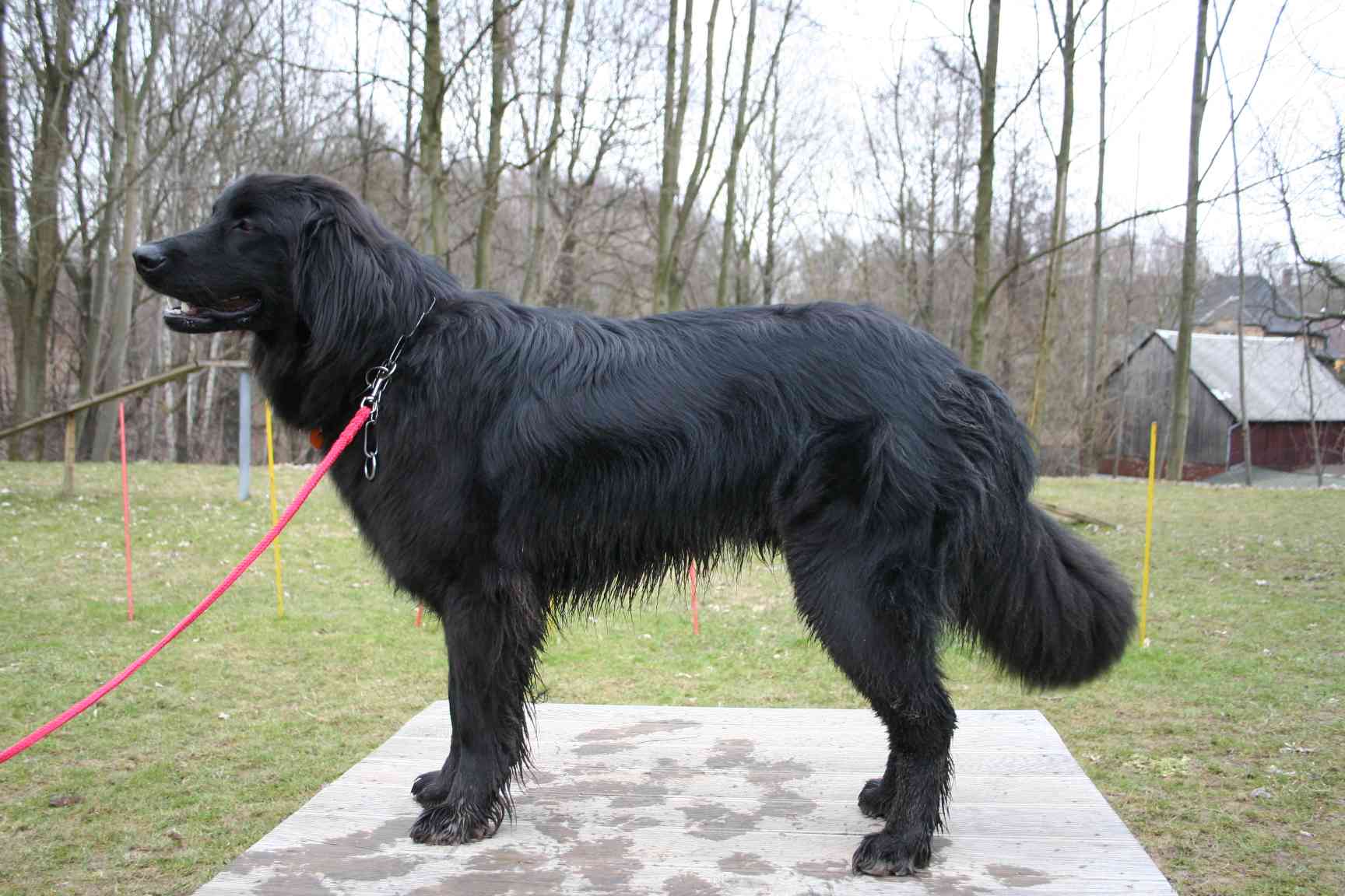 Caspar