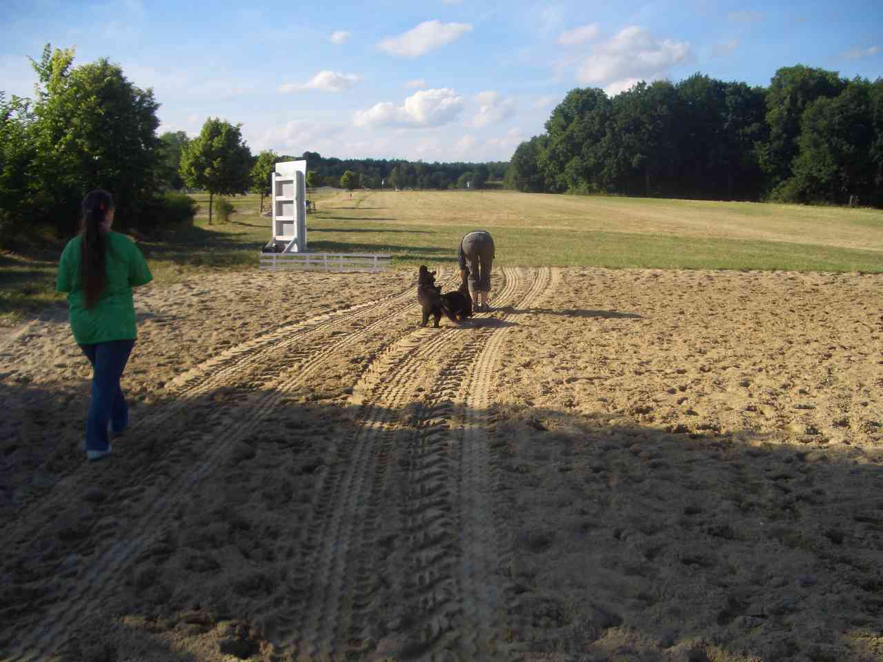 allgemein
