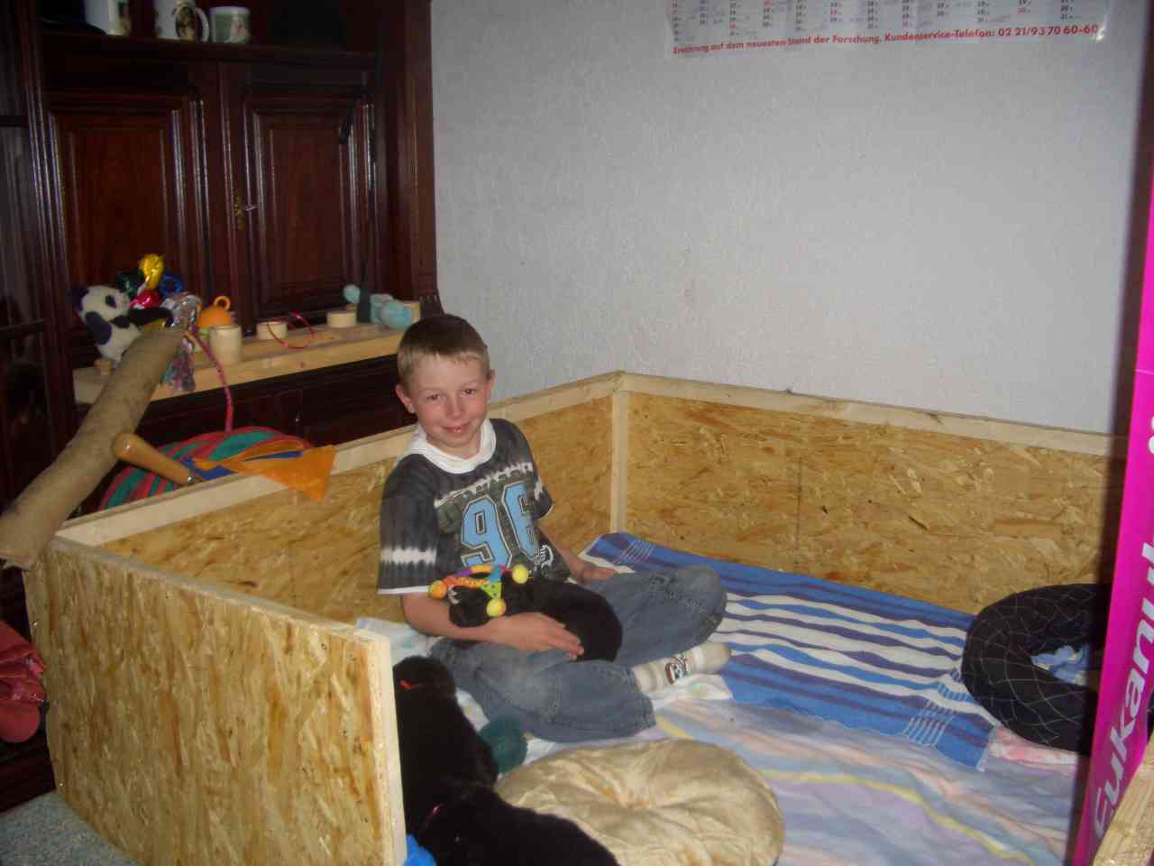 allgemein
