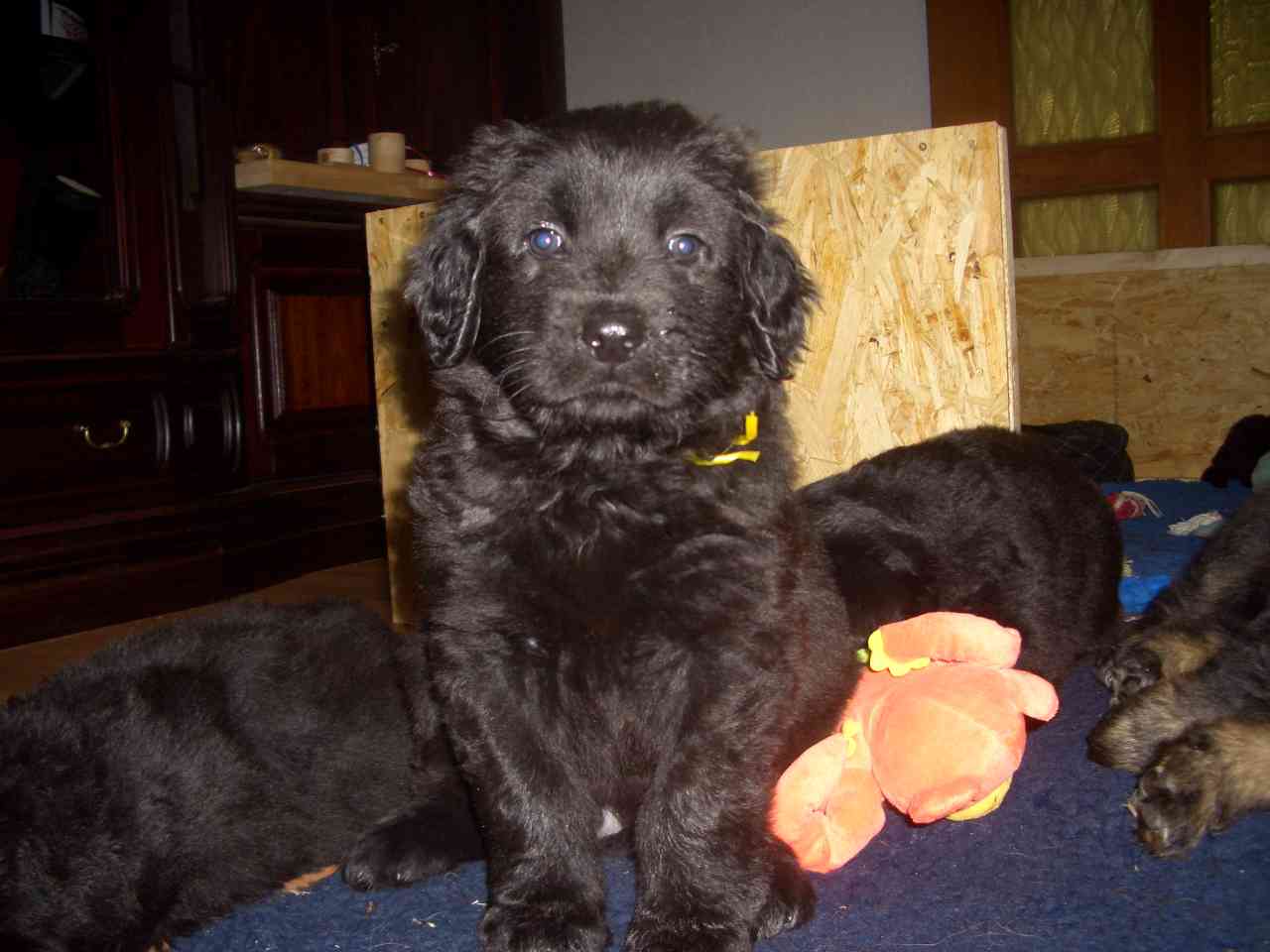 Caspar