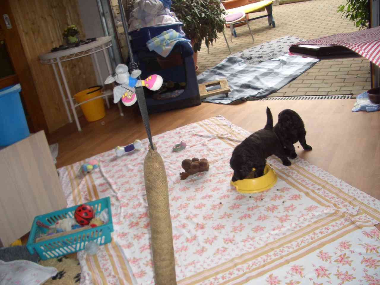 Bilder
