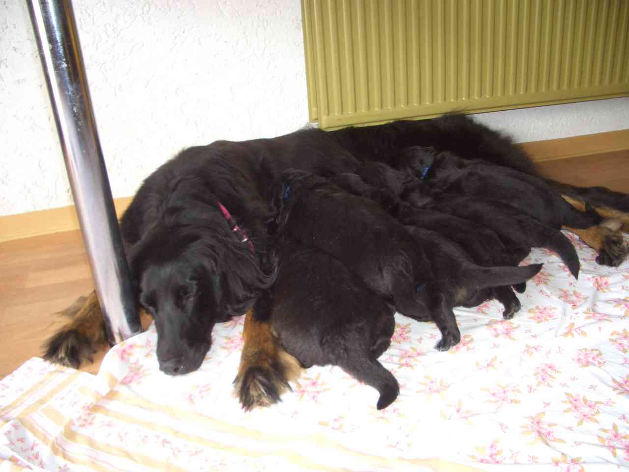>Bilder