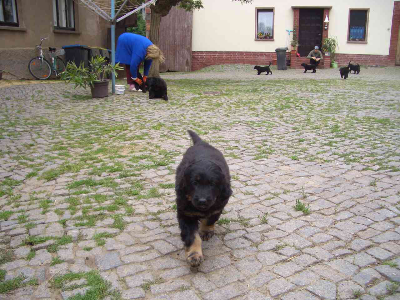 Bilder