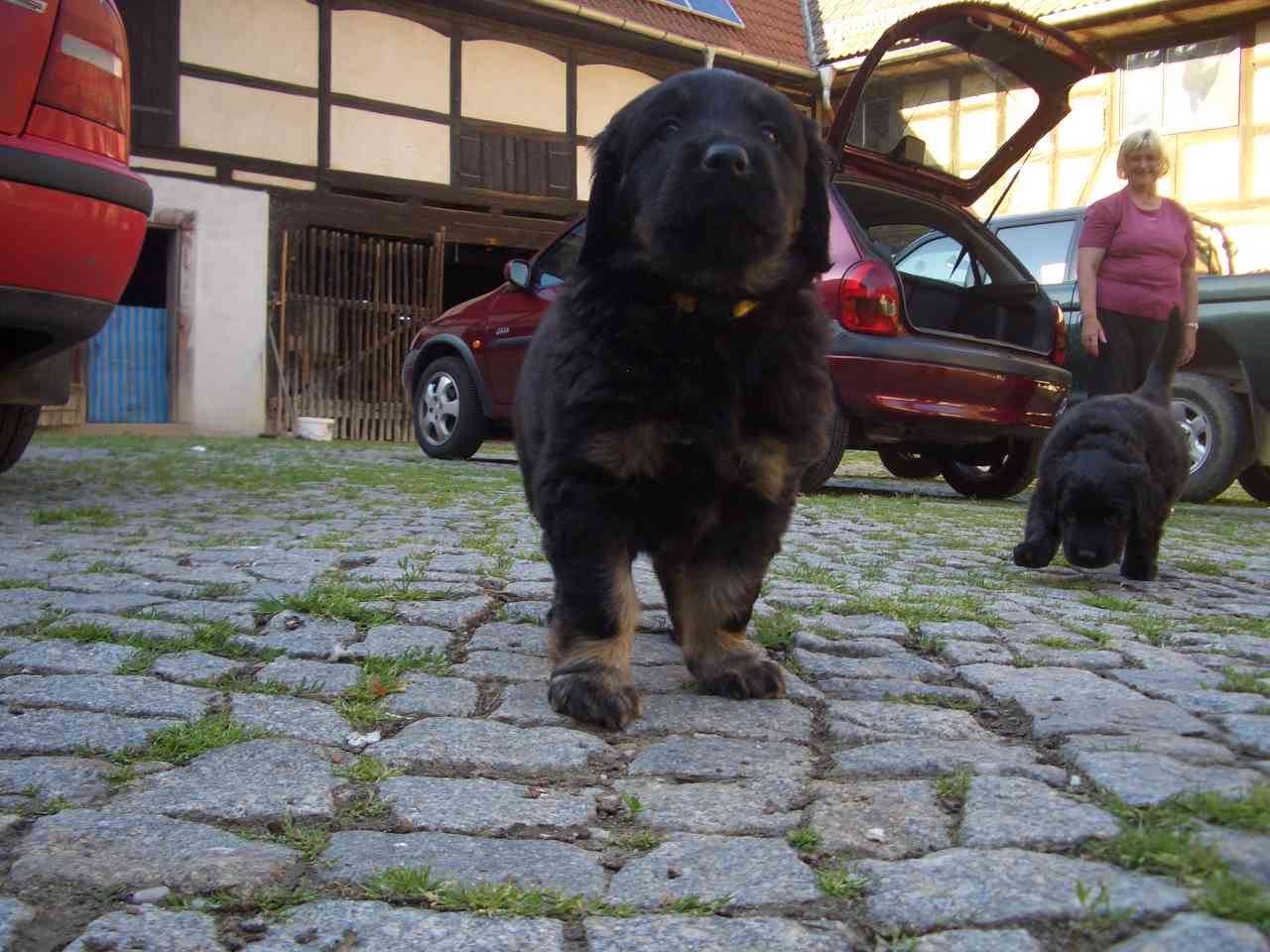 Dinka