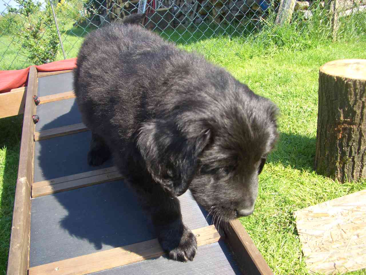 Duncan