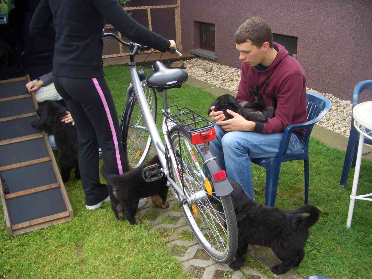Bilder