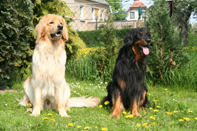 Gruppe