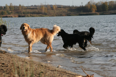 Gruppe