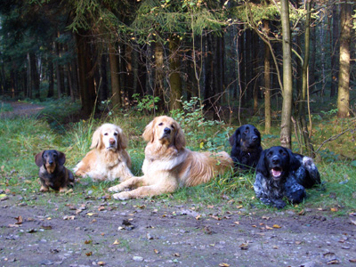 Gruppe