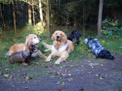 Gruppe