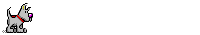 Hundebild
