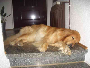 Balduin