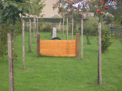 Hunde�bungsplatz