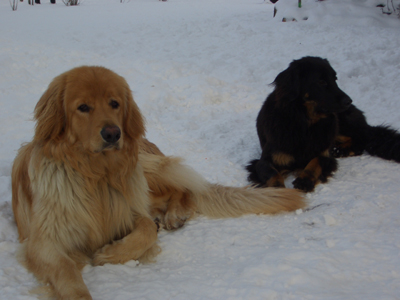 Balduin und Dinah im Winter